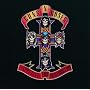 Appetite For Destruction [Explicit]