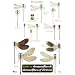 Guide to the Dragonflies and Damselflies of Britain (Occasional Publications)