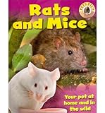 Rats and mice