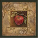 51yLBH5SAgL. SL160  Italian Decor Apple Kitchen Bella Decor Print Framed