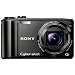 Sony DSC-HX5VB Digitalkamera (10 Megapixel Exmor R, 10fach optischer Zoom, 7,6 cm, LC-Display, Full HD Video, Bildstabilisator, Sweep-Panorama, GPS) schwarz