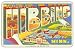 Fridgedoor - Greetings From Hibbing MN - Car Magnet