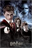 Posters: Harry Potter Poster - And The Order Of The Phoenix, Collage (36 X 24...