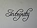 Integrity Motivational Word Fancy Script Metal Wall Art