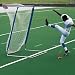 Sporting Goods : Flag-a-Tag Pro-Down Varsity Kicking Cage(Price/Each)