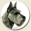 Schnauzer Coaster, Single Coaster for Your Car