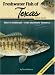 Freshwater Fish of Texas Field Guide (Fish Of...)