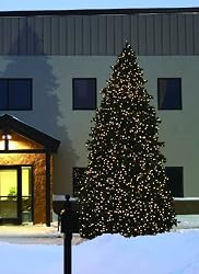 41' Grand Teton Commercial Christmas Tree - 6,239 Clear C7 LED Lights