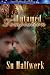 Untamed Temptation