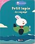 Petit lapin en voyage