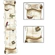 Pirate Ship Map Growth Chart Sherri Blum Wall Sticker