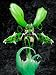 VOCALOID Hatsune Miku VN02 Mix 1/8 Scale PVC Figure_s-4