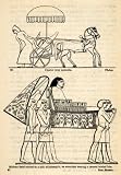 1854 Woodcut Ancient Egypt Military Chief Chariot Palanquin Parsol Beni Hassan - Original Woodcut