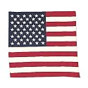 American Flag Bandanna
