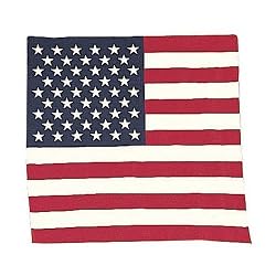 American Flag Bandana