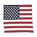 American Flag Bandanna