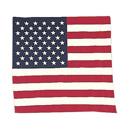 American Flag Bandanna