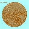 Image of album by Hot Chip