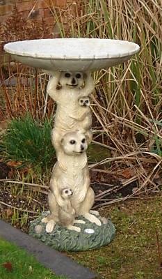 Childrens Toyshop  Outdoor Living : Solar Powered Meerkat Birdbath With Lights