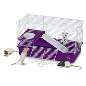 Super Pet My First Home for Pet Rats