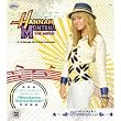 Hannah Montana: The Movie 2010 Musical Sound Wall Calendar