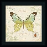 Cote Jardin III by Daphne Brissonnet Butterfly French Botanical Art Print Framed