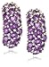 Sterling Silver Amethyst Earrings