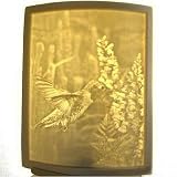 SWEET NECTAR HUMMINGBIRD * CURVED PORCELAIN LITHOPHANE NURSERY KIDS NIGHT LIGHT