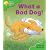 Oxford Reading Tree: Stage 2: Storybooks: Pack (6 books, 1 of each title)