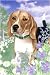   - Dachshund Jingle Sweater Greeting Card20
