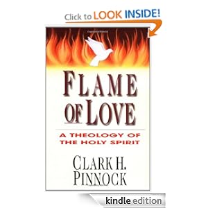 Flame of Love: A Theology of the Holy Spirit