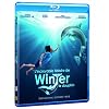 L'incroyable histoire de winter le dauphin [Blu-ray]