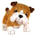 Webkinz Bull Dog with 4 Accessories