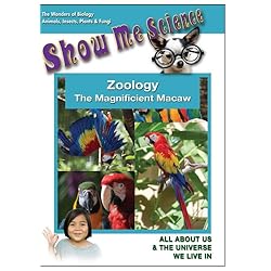 Zoology - The Magnificient Macaw