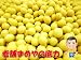 �ޤ������ϡ����ò����̳�ƻ����Ʀ��1kg