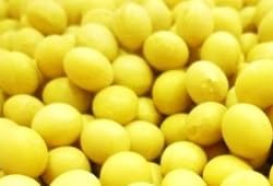 �ޤ������ϡ��̳�ƻ����Ʀ��1kg