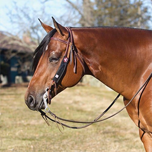 Fly Armor Horse Cheekbands