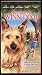 Because of Winn Dixie [VHS]