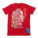 VOLCOM(ボルコム) FACE FACTS S/S PREMIUM BASIC TEE