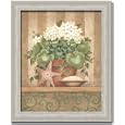 Geranium Shell Star Fish Bath Room Decor Print~FRAMED