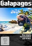 Produkt-Bild: Galapagos - Das letzte Tierparadies auf Erden