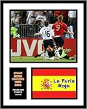 Fernando Torres Spanish National Team - 2008 Euro Champs Game Winning Goal - Framed Milestone 8x10 Photograph