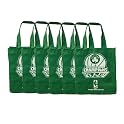 Celtics Champs Reusable Bag 6 Pack