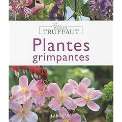 Plantes grimpantes