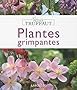 Plantes grimpantes