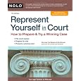 Represent Yourself in Court: How to Prepare & Try a Winning Case