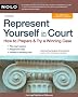 Represent Yourself in Court: How to Prepare & Try a Winning Case