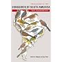 Field Guide to the Songbirds of South America: The Passerines (Mildred Wyatt-Wold Series in Ornithology)