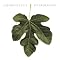 Must-Have Christian Albums