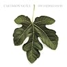 Image of album by Caedmon's Call